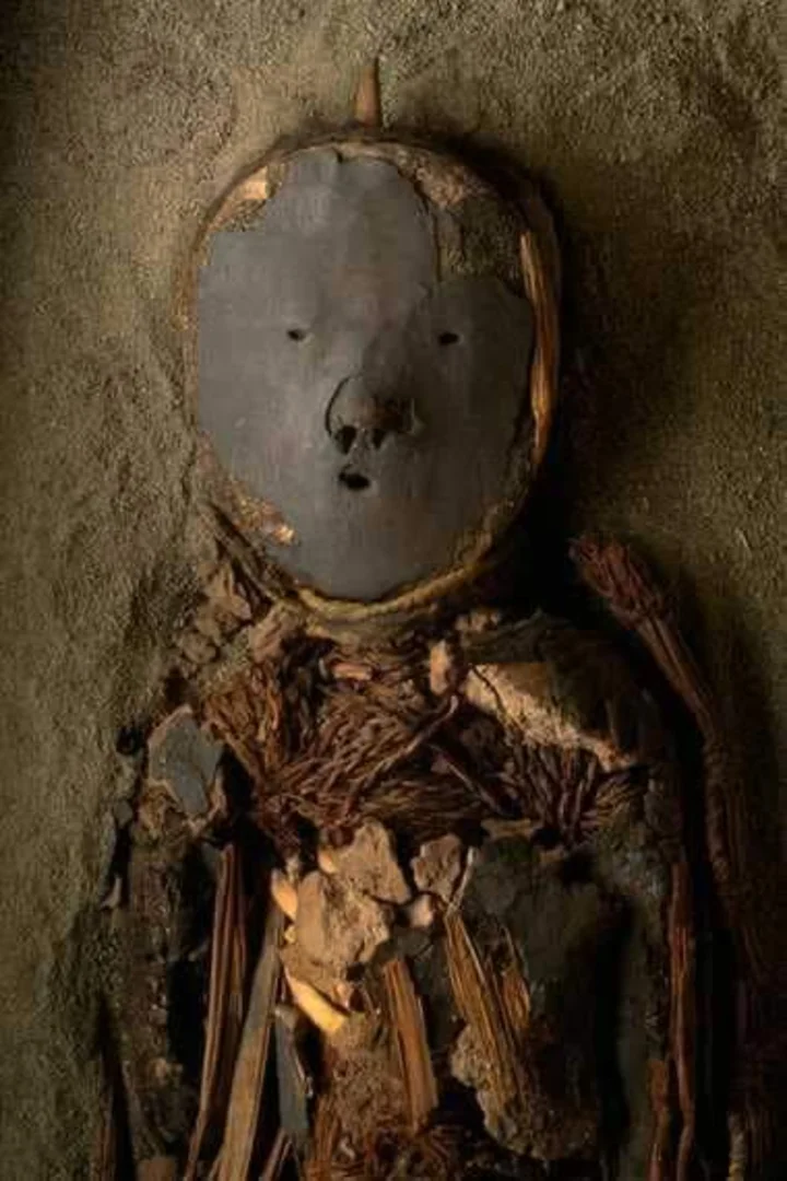 The Paracas Mummies