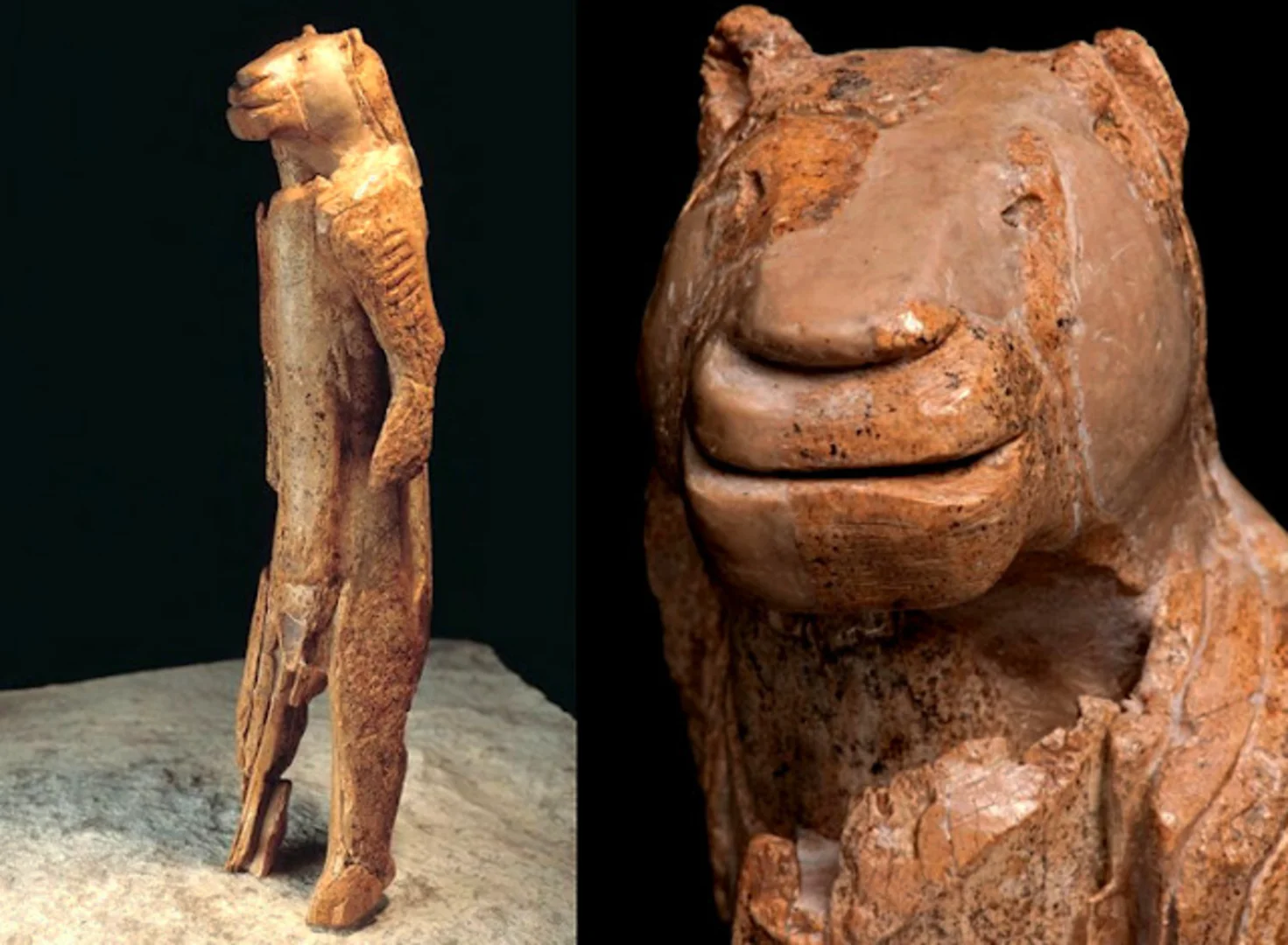 The Great Puzzle Project