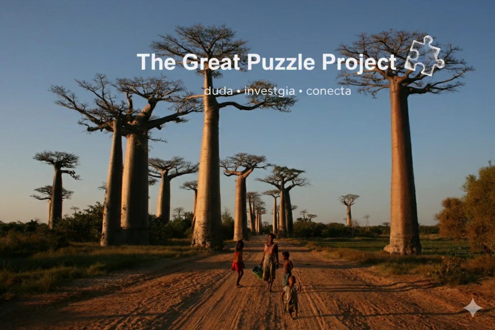 The Great Puzzle Project